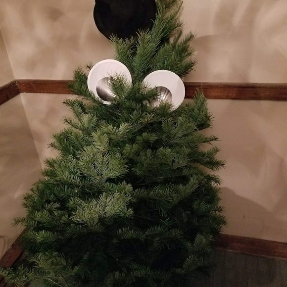 Meet your Posher, Melissa - Picture 3 of 3